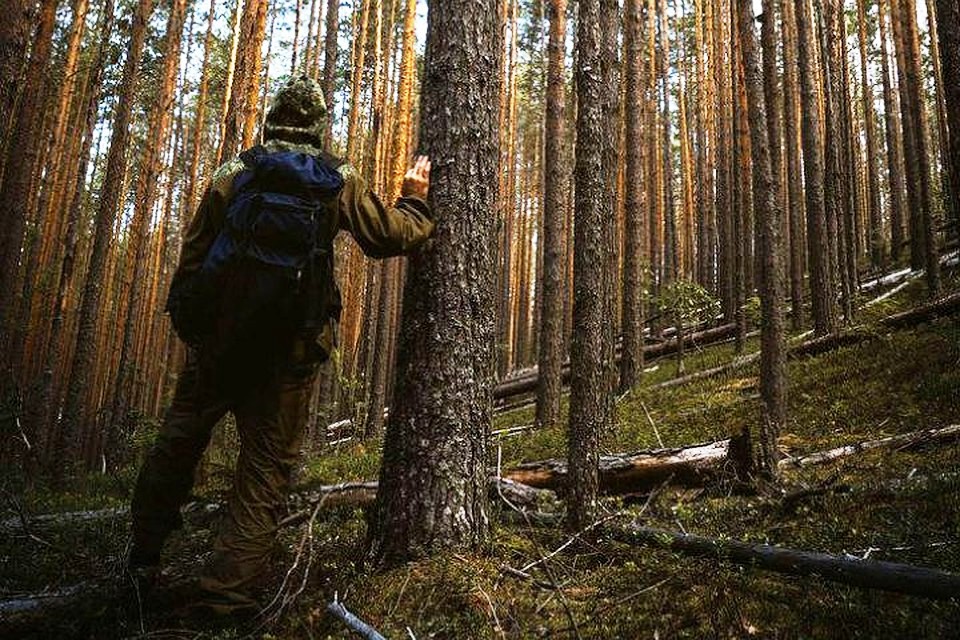 Бушкрафт Лесная Тайга