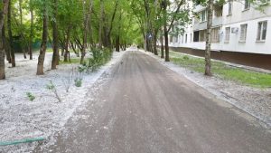 Как выжить аллергику во время тополиной метели